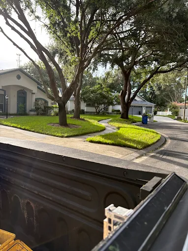 Manicured front lawns with mulched tree rings on a Brandon street